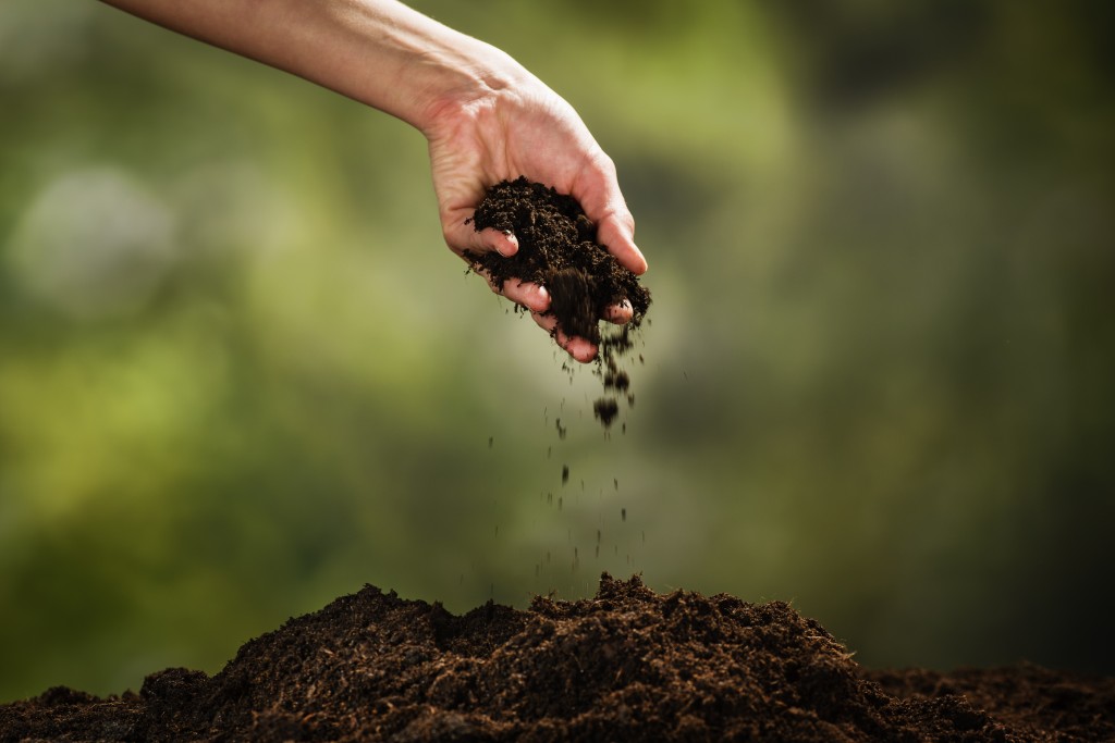 a hand pouring soil