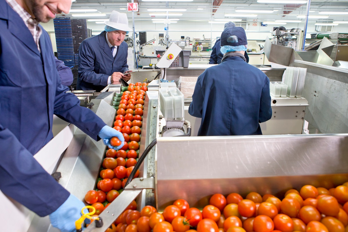 The Components of a Successful Food Manufacturing Plant Tulla More Life