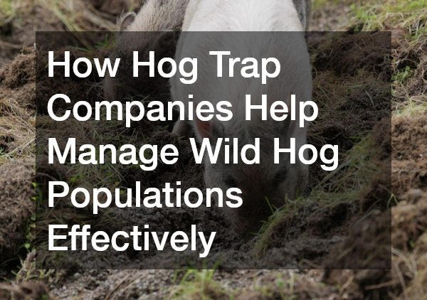 How Hog Trap Companies Help Manage Wild Hog Populations Effectively