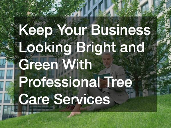 Keep Your Business Looking Bright and Green With Professional Tree Care Services